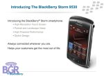 BlackBerryStorm_10