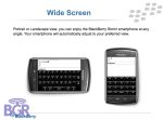 BlackBerryStorm_3
