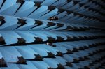 bgr-img_2056110720182334