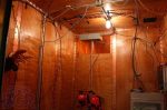 bgr-img_2087110720184749