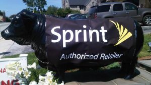 Sprint FCC fine