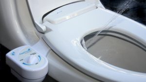 Smart Home Toilets Hacked