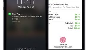 iPhone 6 and iWatch NFC Payments Security iPhone 6 and iWatch NFC Payments Security