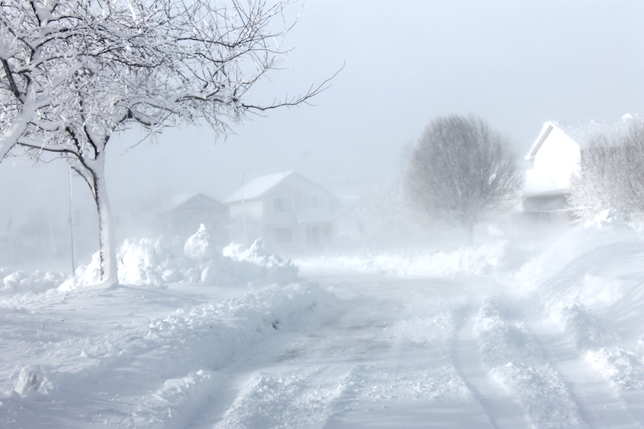 everything-you-ll-need-to-get-you-through-2015-s-first-massive-blizzard