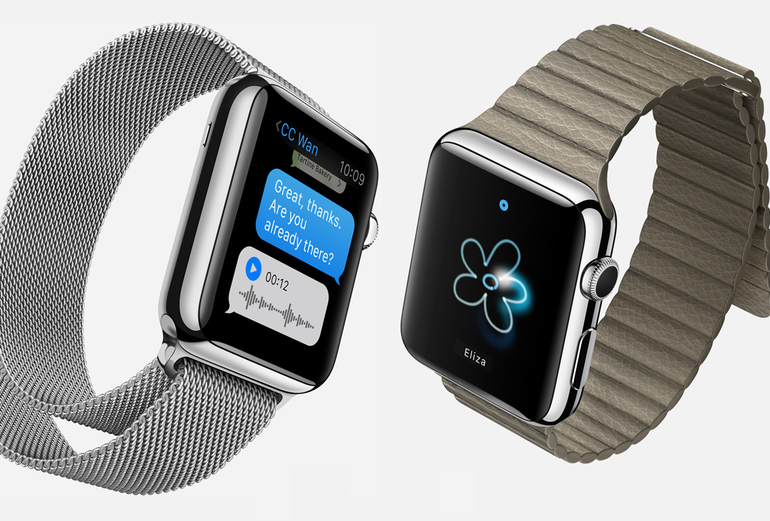 Apple Watch Sales