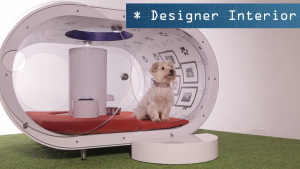 Samsung Dream Doghouse Video