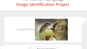 Wolfram Image Identification Project Website