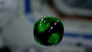 4K Video Space ISS Zero-gravity Water 4K Video Space ISS Zero-gravity Water