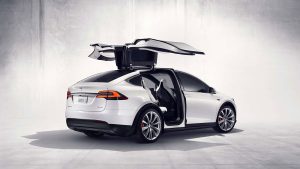 Tesla Self Driving Car