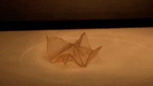 Shape-Shifting Sheet Plastic Shape-Shifting Sheet Plastic
