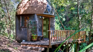 Most Popular Airbnb Rental Cabin