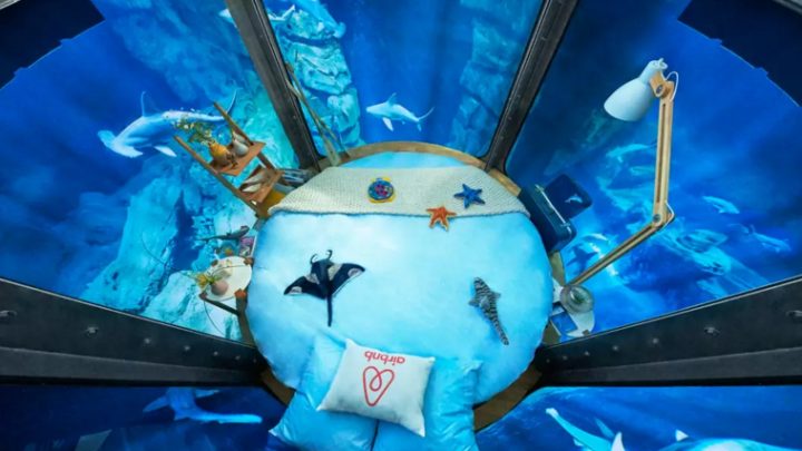 Airbnb Underwater Shark Bedroom