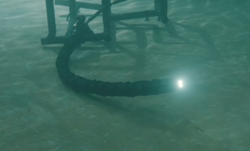 Robotic Swimming Snake Video