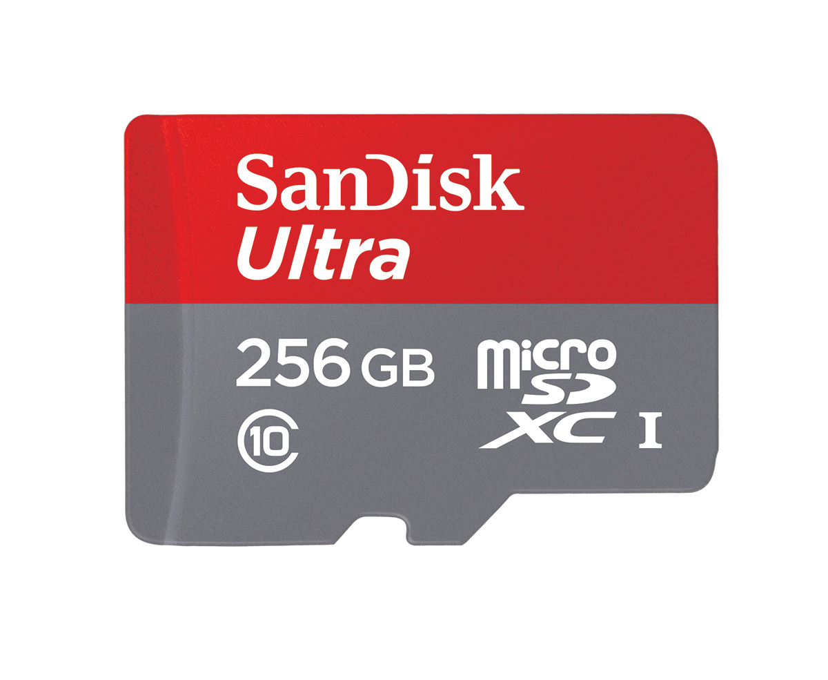 SanDiskâ€™s giant 256GB microSD card is also the worldâ€™s