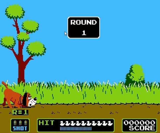 duck hunt nes