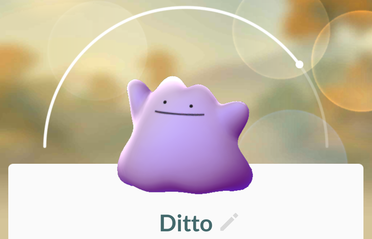 where to find ditto in pokemon go