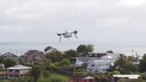 drone delivery pizza