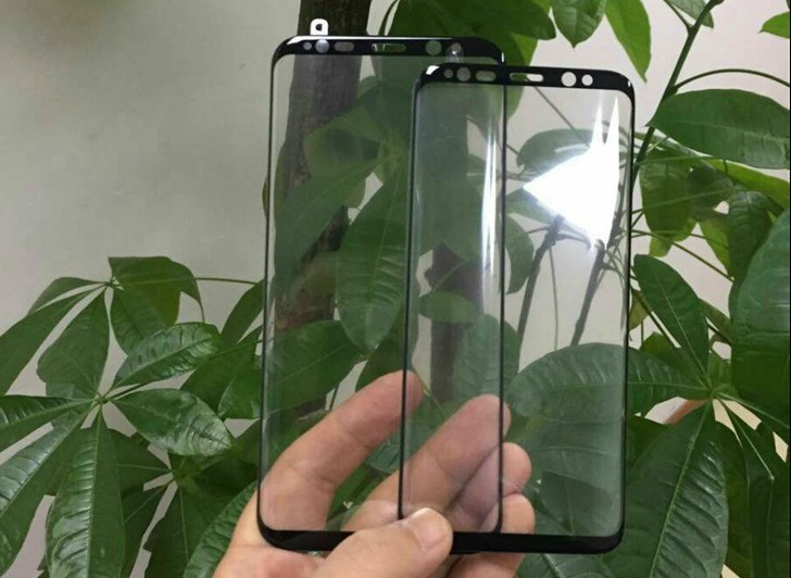 galaxy-s8-galaxy-s8-plus-screen-protector-leak