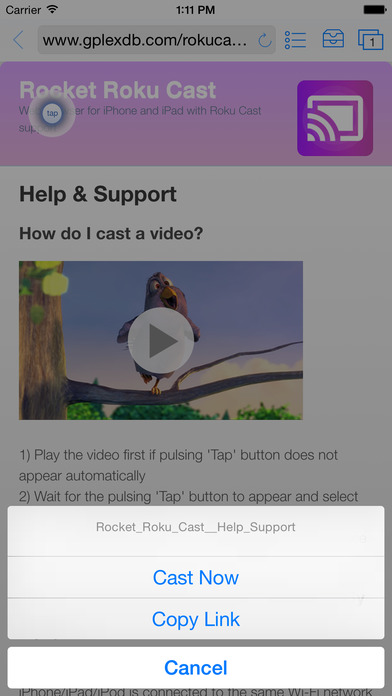 rocket-video-cast-for-roku