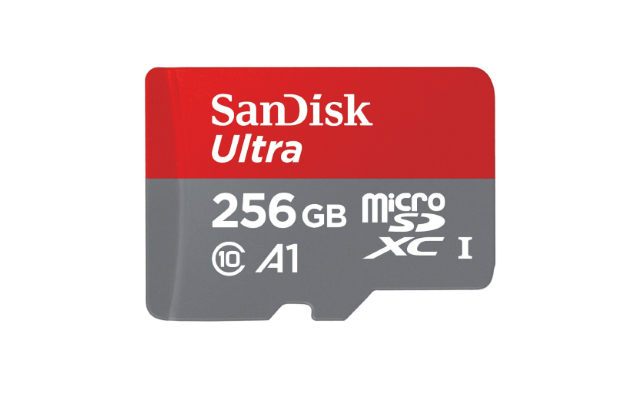 sandisk-256gb-a1