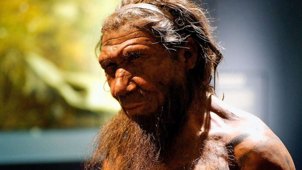 History-changing discovery suggests Homo sapiens were not the first ...