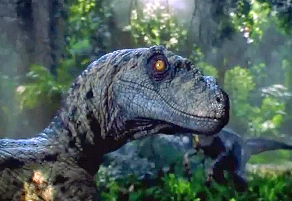 Scientists just destroyed our dreams of a real Jurassic ...