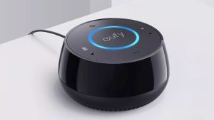Echo Dot Alternative