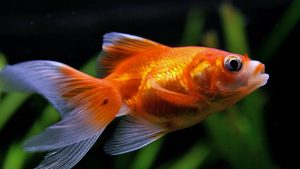 science news science news