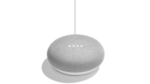 google home