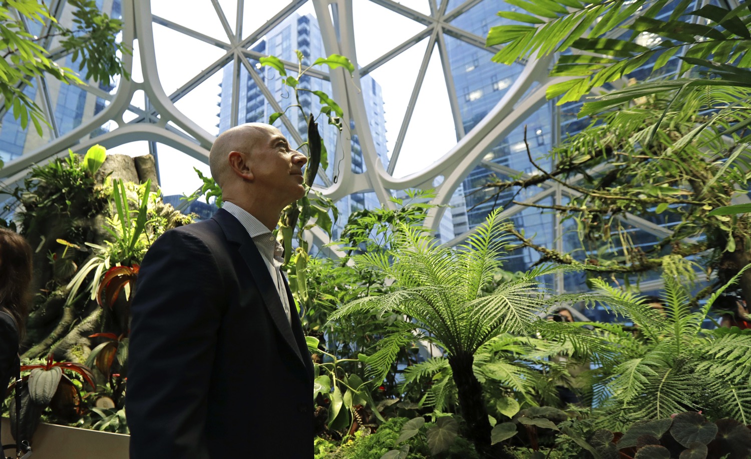 Take A Photo Tour Of The New Indoor Tropical Forest In Amazon S 4 Billion Urban Campus Bgr