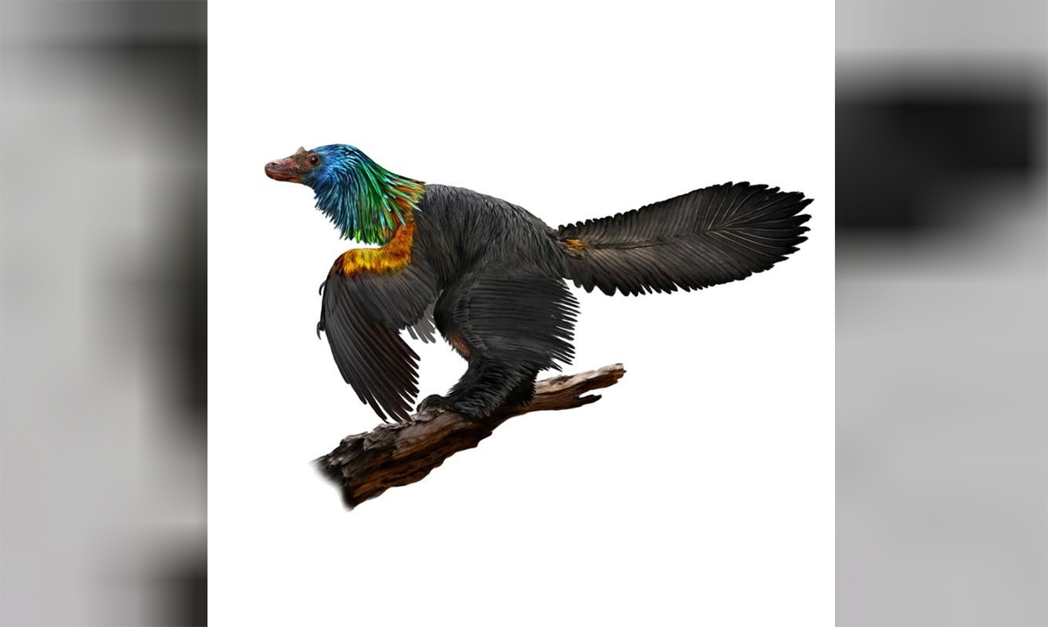 the rainbow dinosaur