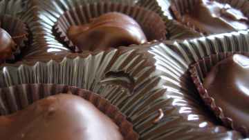 chocolate extinct