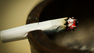 philip morris philip morris