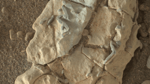 mars fossils