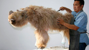 woolly rhino