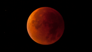 super blue blood moon photos