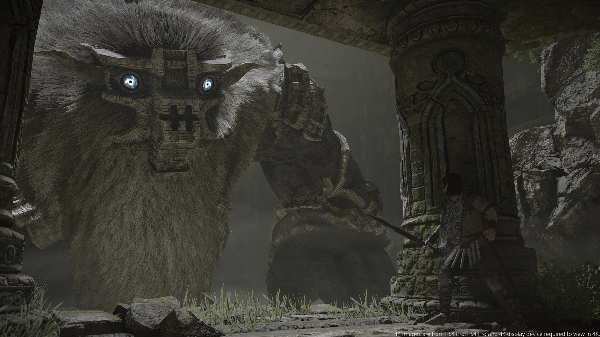 Shadow of the colossus секреты