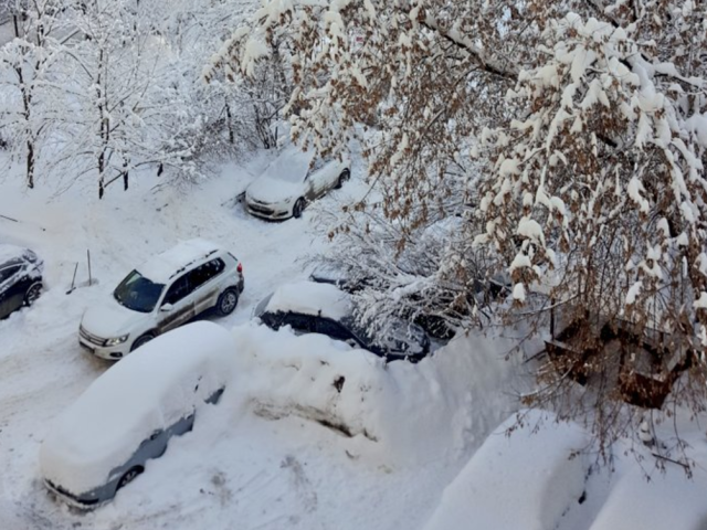 Moscow Snow Moscow Snow