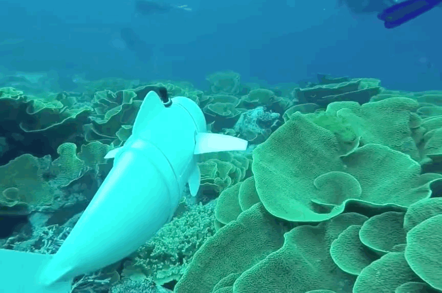 MIT built a robot fish that can explore coral reefs in the name of