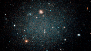 dark matter dark matter
