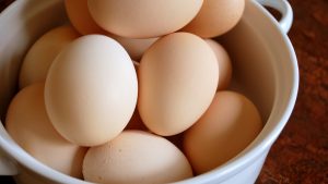 salmonella eggs