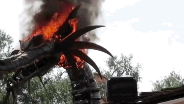 disney dragon