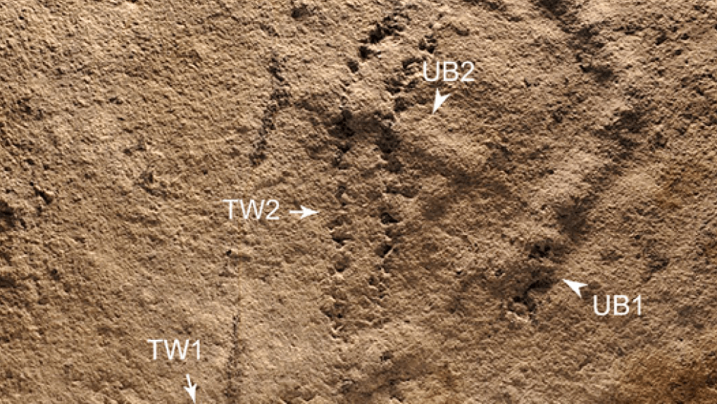 oldest footprints