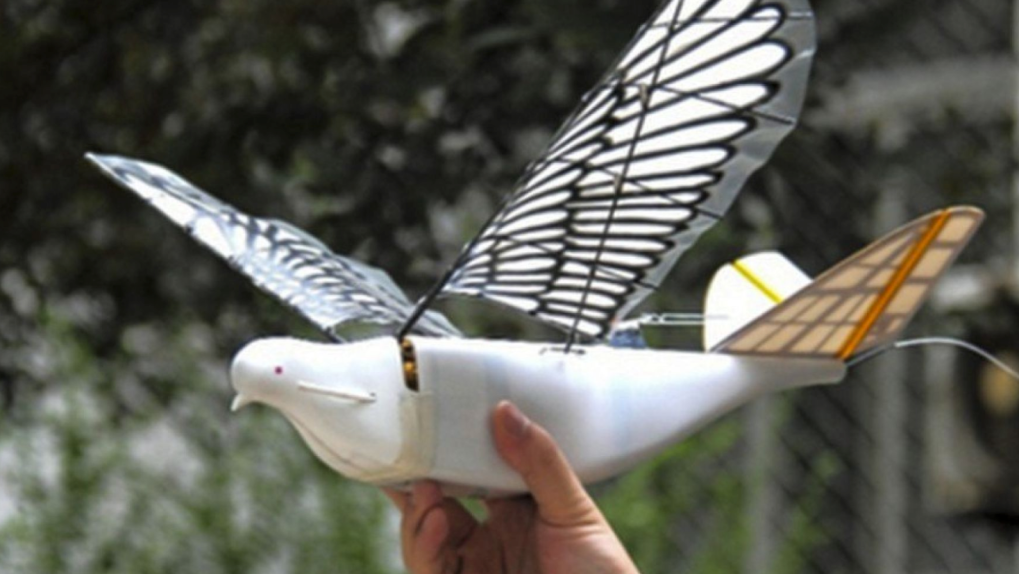 china bird drones