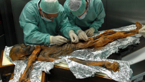 otzi iceman otzi iceman