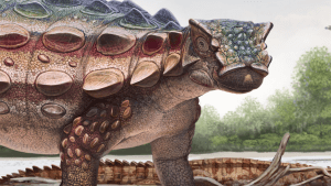 ankylosaur