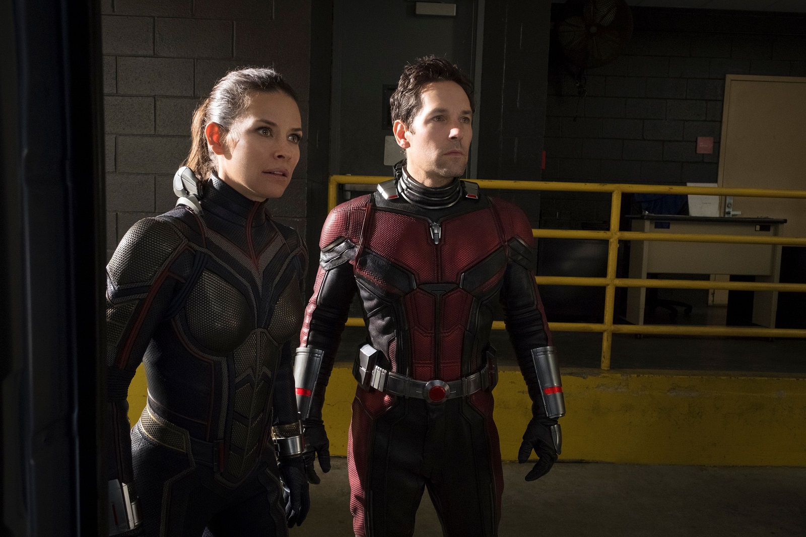 When to expect the first AntMan and the Wasp Quantumania trailer BGR