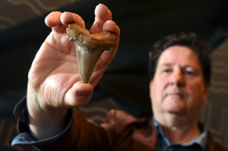 Scientists find teeth of an ancient 'Mega Shark' that could have