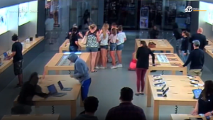 Apple Store thefts, organized crime ring