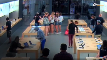 Apple Store thefts, organized crime ring